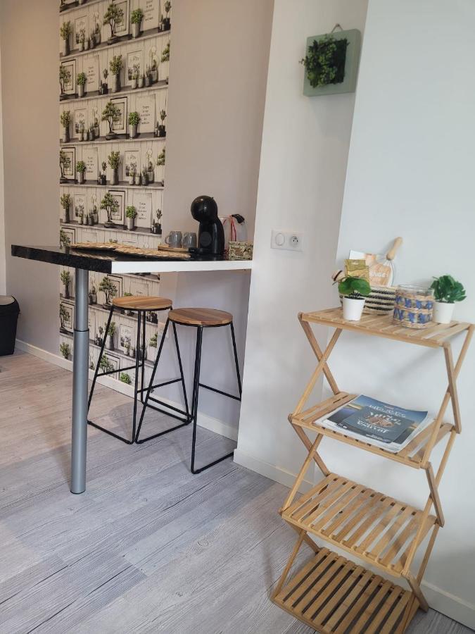Studio Au Centre-Ville De Санс Экстерьер фото